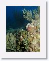 06-Bequia - 47